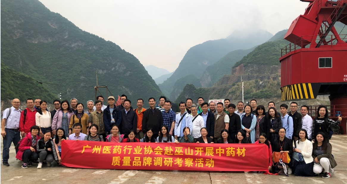 广州医药行业协会---赴巫山开展中药材质量调研实践活动圆满结束 广州医药行业协会---赴巫山开展中药材质量调研实践活动圆满结束