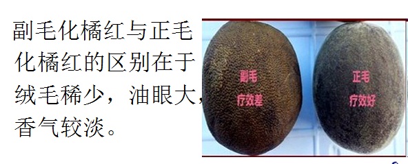 ڡٺ족֪ʶ̽