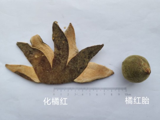 化橘红