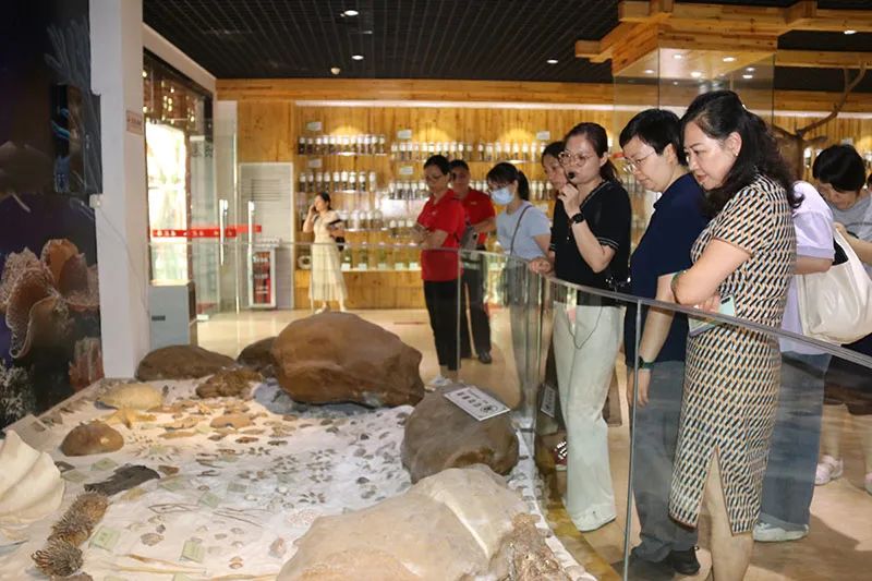 走进采芝林中药文化体验馆,领略岭南中医药文化魅力 走进采芝林中药文化体验馆,领略岭南中医药文化魅力