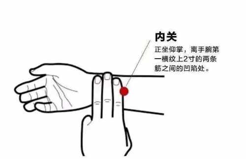 立春至,万物生,护阳养肝正当时! 立春至,万物生,护阳养肝正当时!