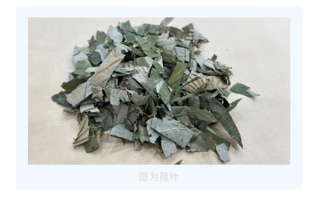 走进非遗(四):中药炮制之煅法 走进非遗(四):中药炮制之煅法