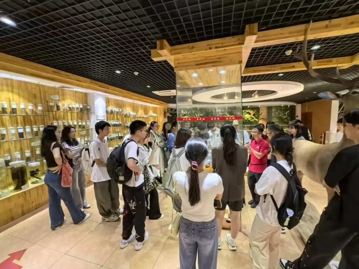 领略千年药香魅力——国际学院药学专业大一大二学生赴采芝林中药文化博物馆学习参观 领略千年药香魅力——国际学院药学专业大一大二学生赴采芝林中药文化博物馆学习参观