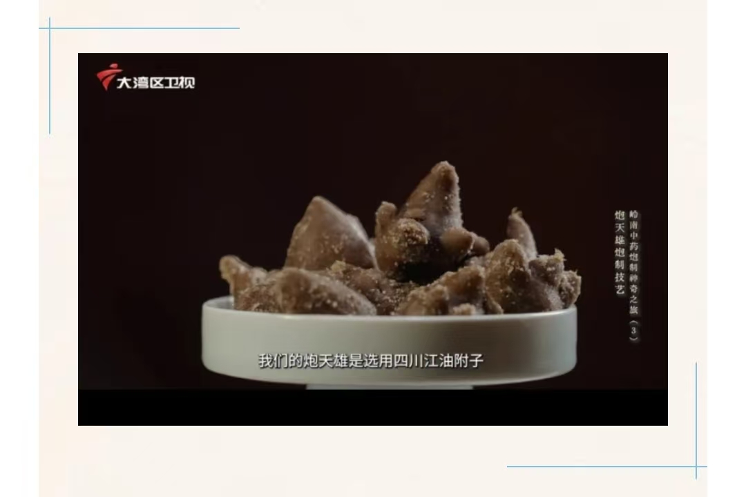 国家广电总局重点项目《岭南中药炮制神奇之旅》展示炮天雄炮制技艺 国家广电总局重点项目《岭南中药炮制神奇之旅》展示炮天雄炮制技艺