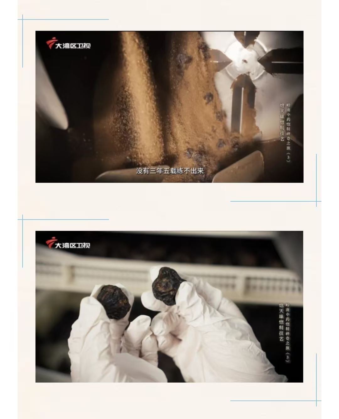 国家广电总局重点项目《岭南中药炮制神奇之旅》展示炮天雄炮制技艺 国家广电总局重点项目《岭南中药炮制神奇之旅》展示炮天雄炮制技艺