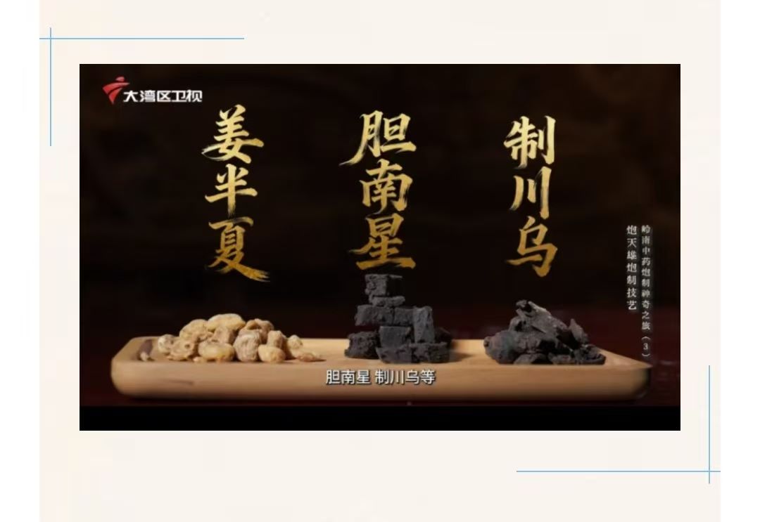 国家广电总局重点项目《岭南中药炮制神奇之旅》展示炮天雄炮制技艺 国家广电总局重点项目《岭南中药炮制神奇之旅》展示炮天雄炮制技艺