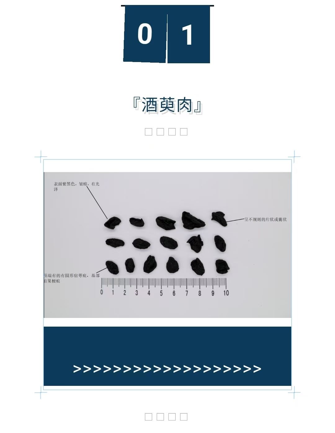 2025��3��4�� ����ҩ��Ʒ�����ᡱ