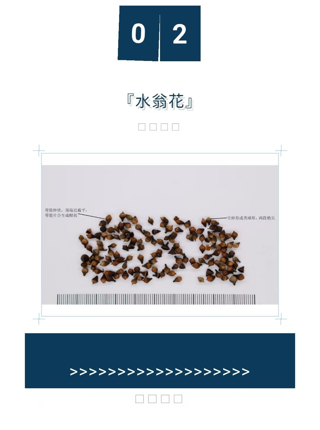 2025��3��4�� ����ҩ��Ʒ�����ᡱ