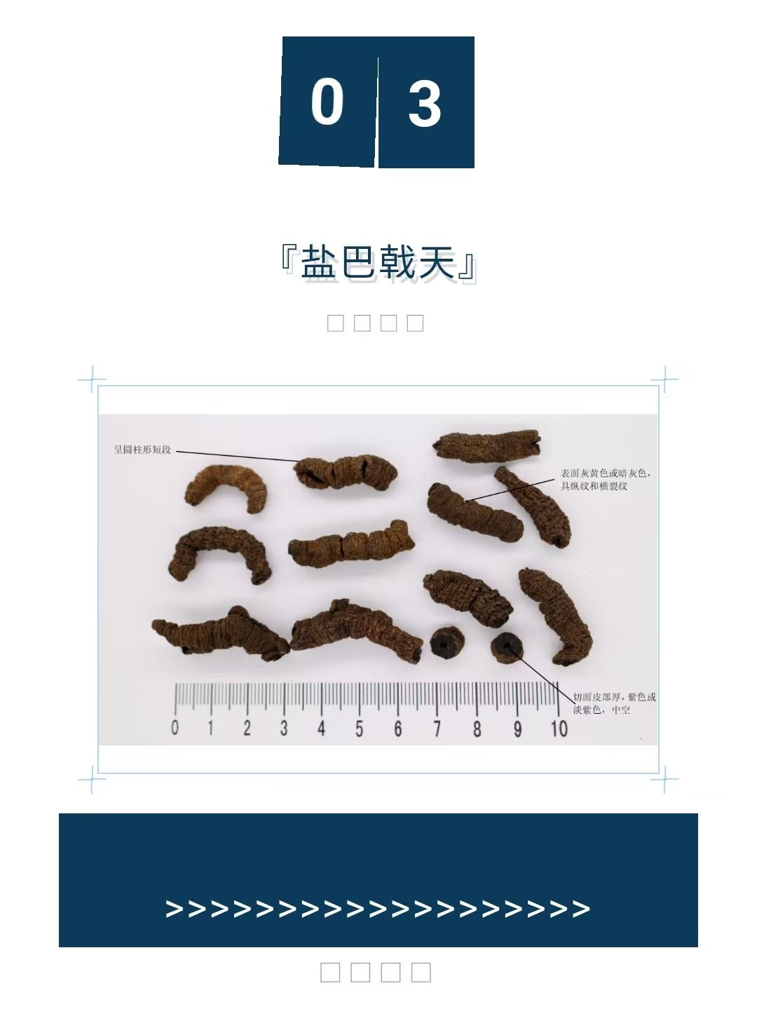 2025��3��4�� ����ҩ��Ʒ�����ᡱ