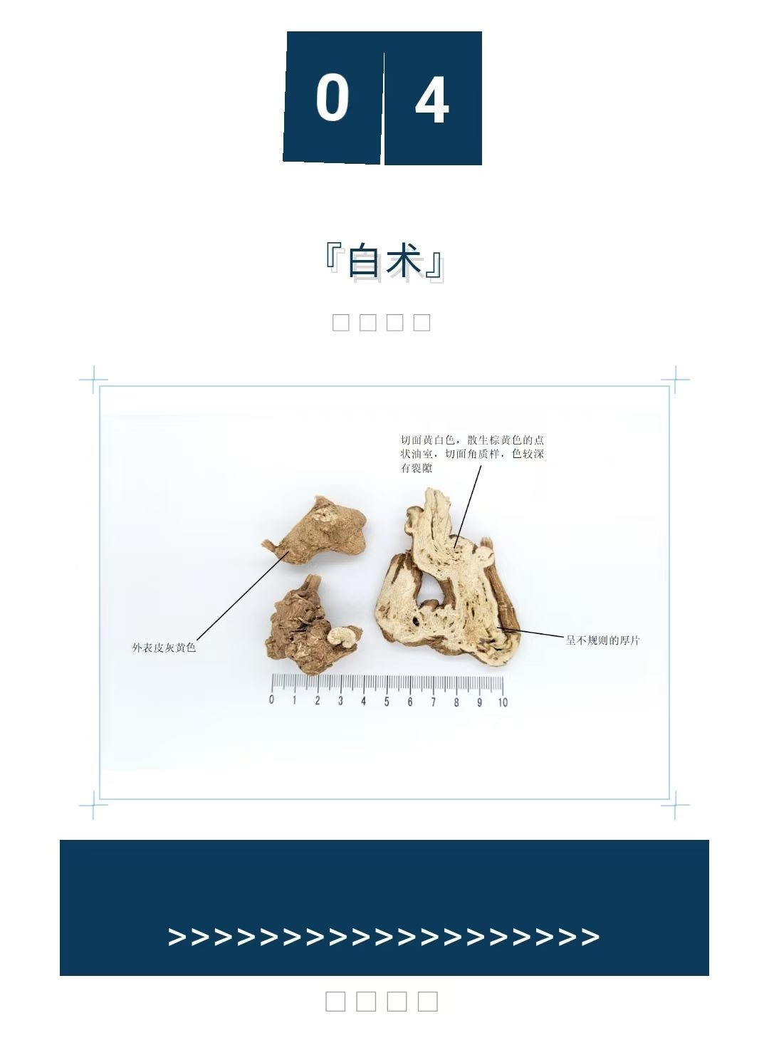 2025��3��4�� ����ҩ��Ʒ�����ᡱ