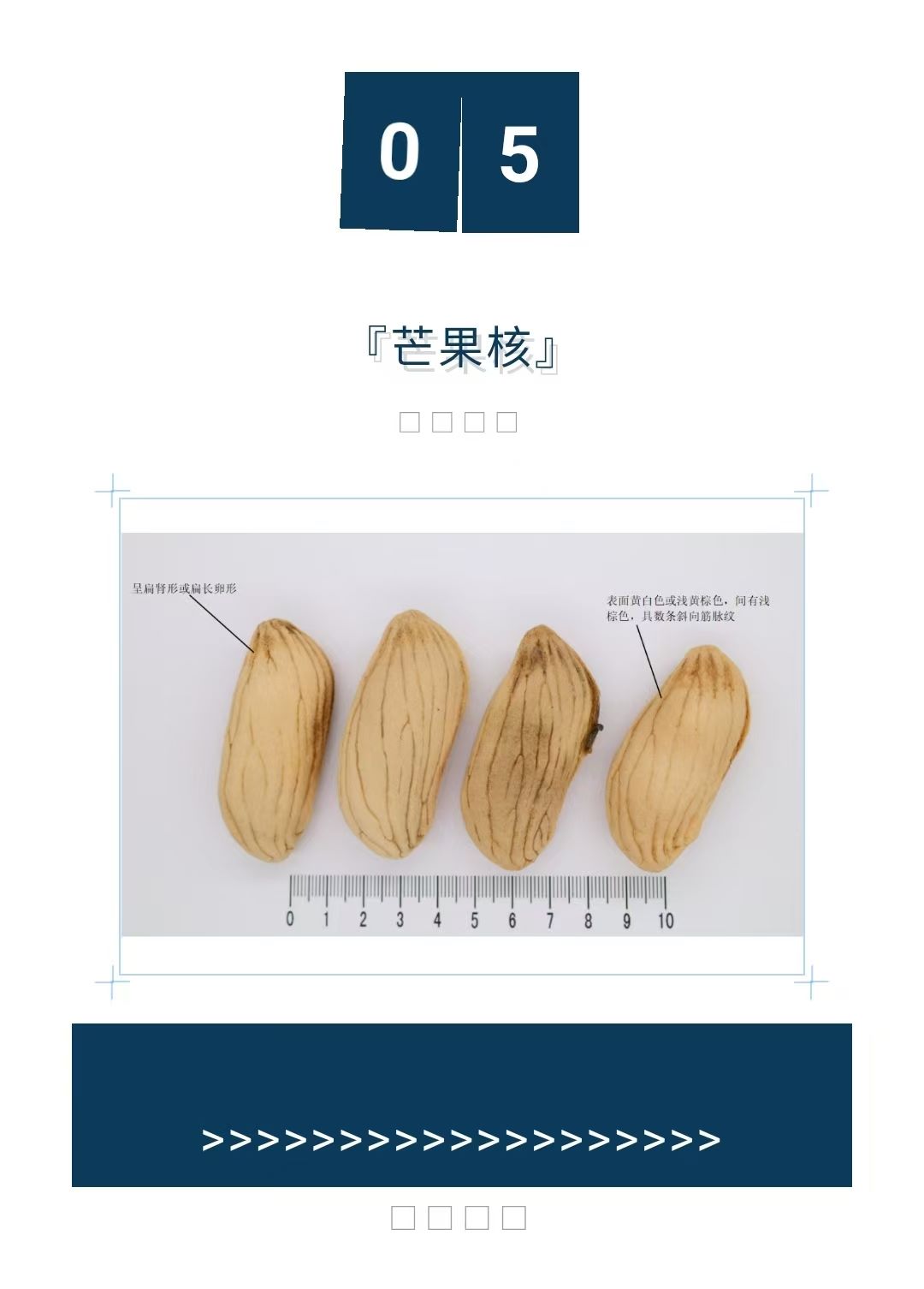 2025��3��4�� ����ҩ��Ʒ�����ᡱ