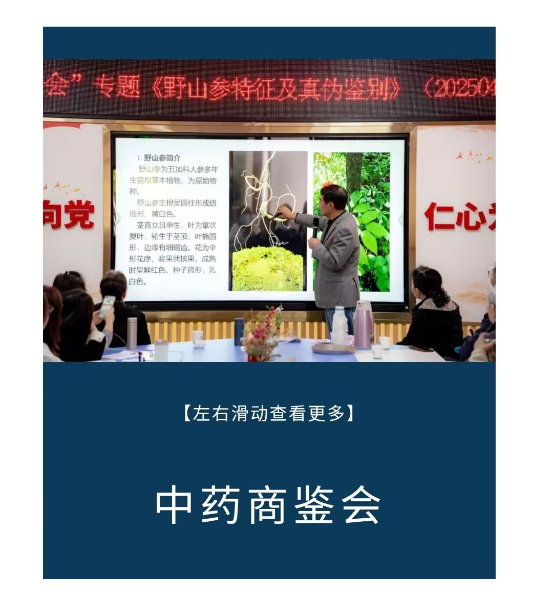 2025��4��1�� ����ҩ��Ʒ�����ᡱ