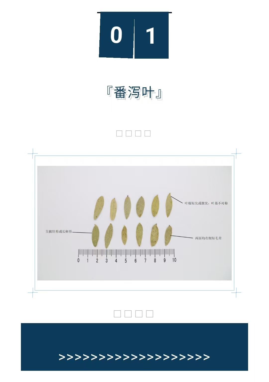 2025年4月1期 “中药商品鉴定会” 2025年4月1期 “中药商品鉴定会”