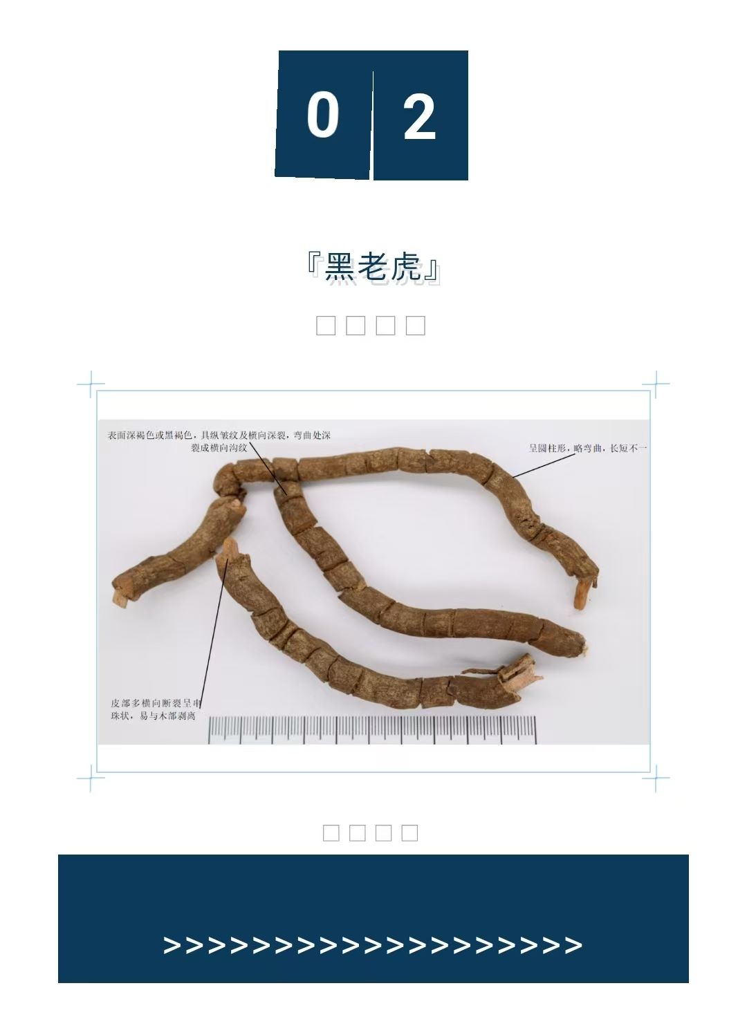 2025年4月1期 “中药商品鉴定会” 2025年4月1期 “中药商品鉴定会”