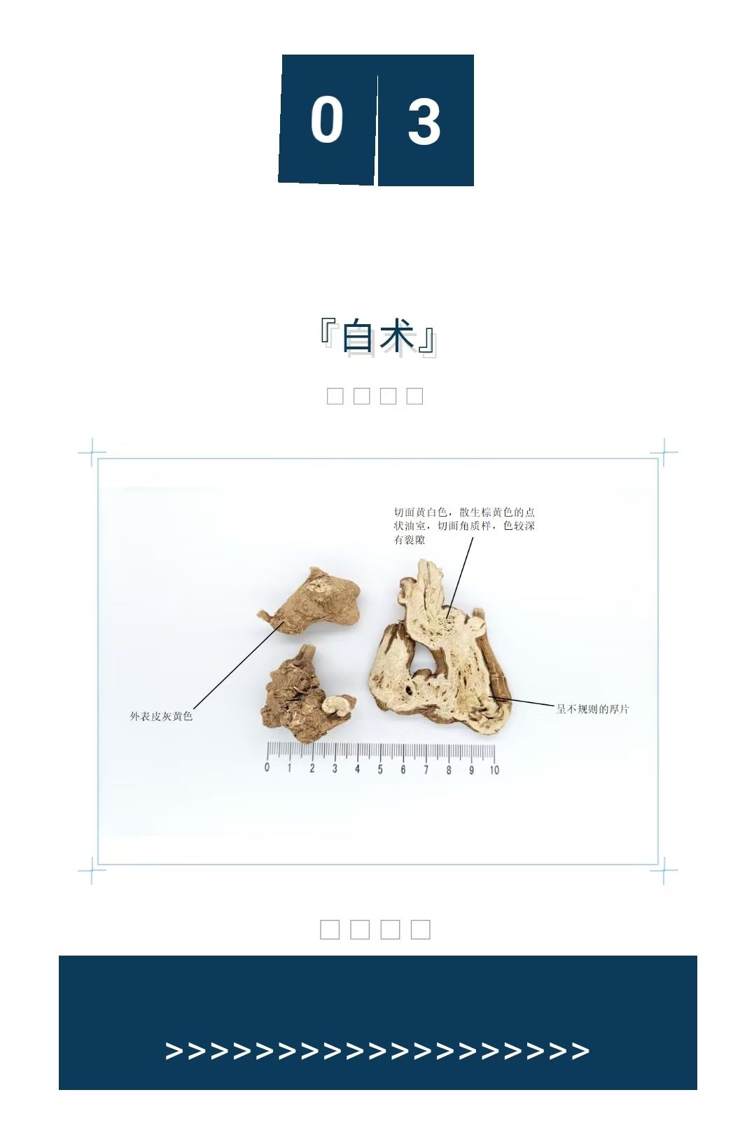 2025年4月1期 “中药商品鉴定会” 2025年4月1期 “中药商品鉴定会”