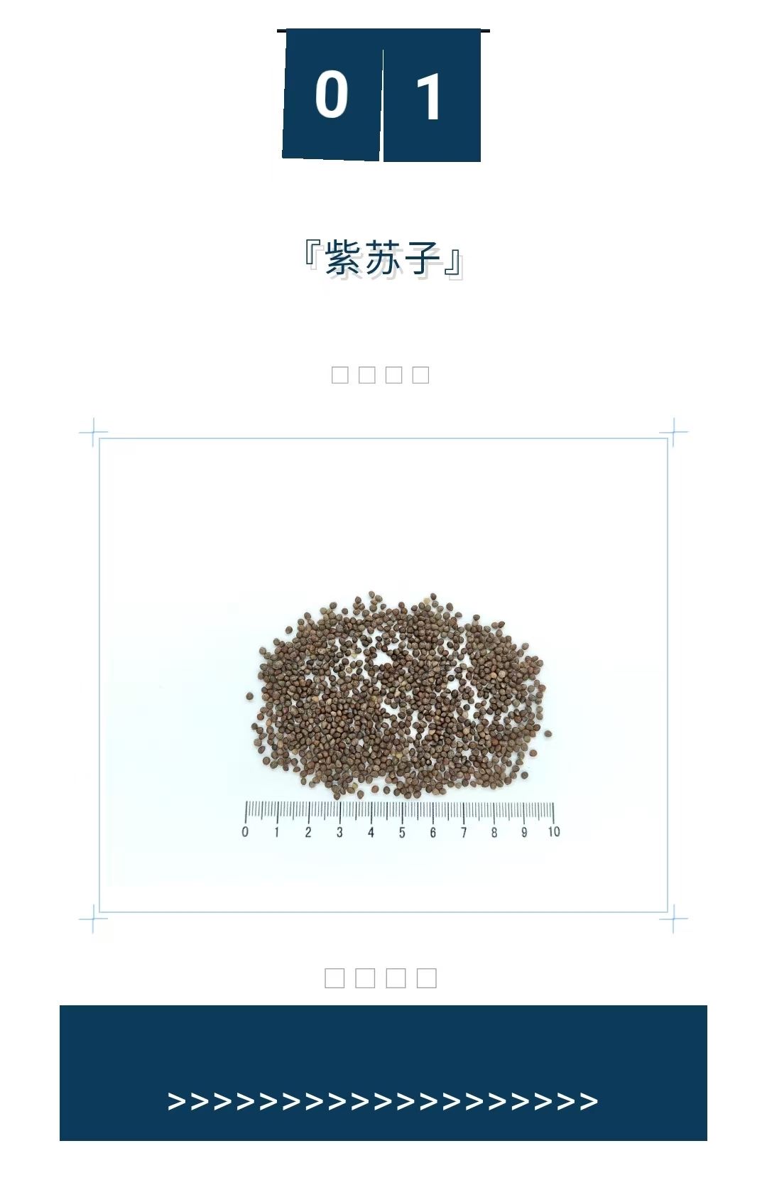 2025��4��2�� ����ҩ��Ʒ�����ᡱ