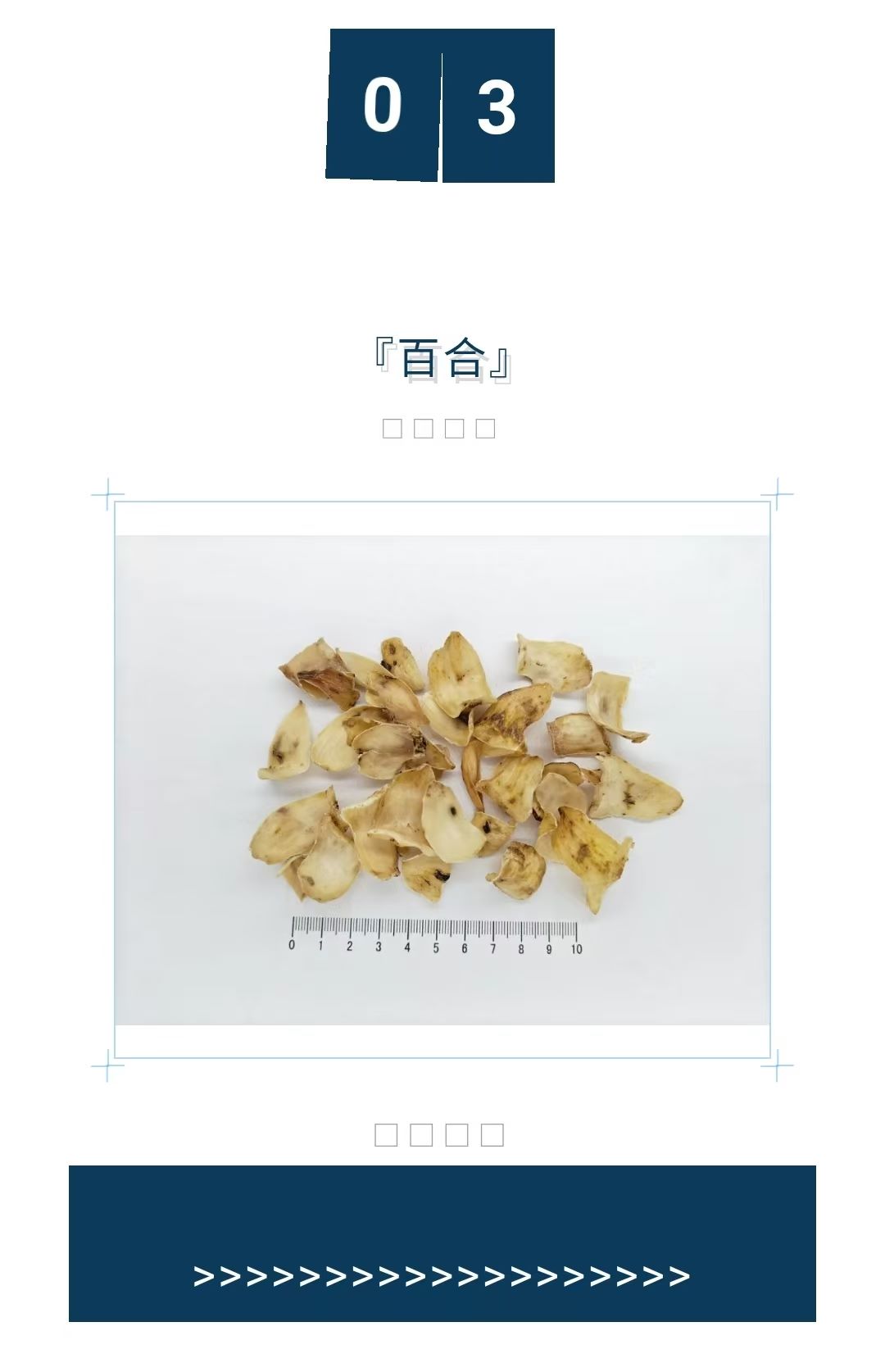 2025年4月2期 “中药商品鉴定会” 2025年4月2期 “中药商品鉴定会”